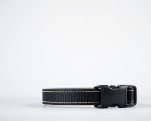 Are You Using the Best Dog Training Collar Yet?